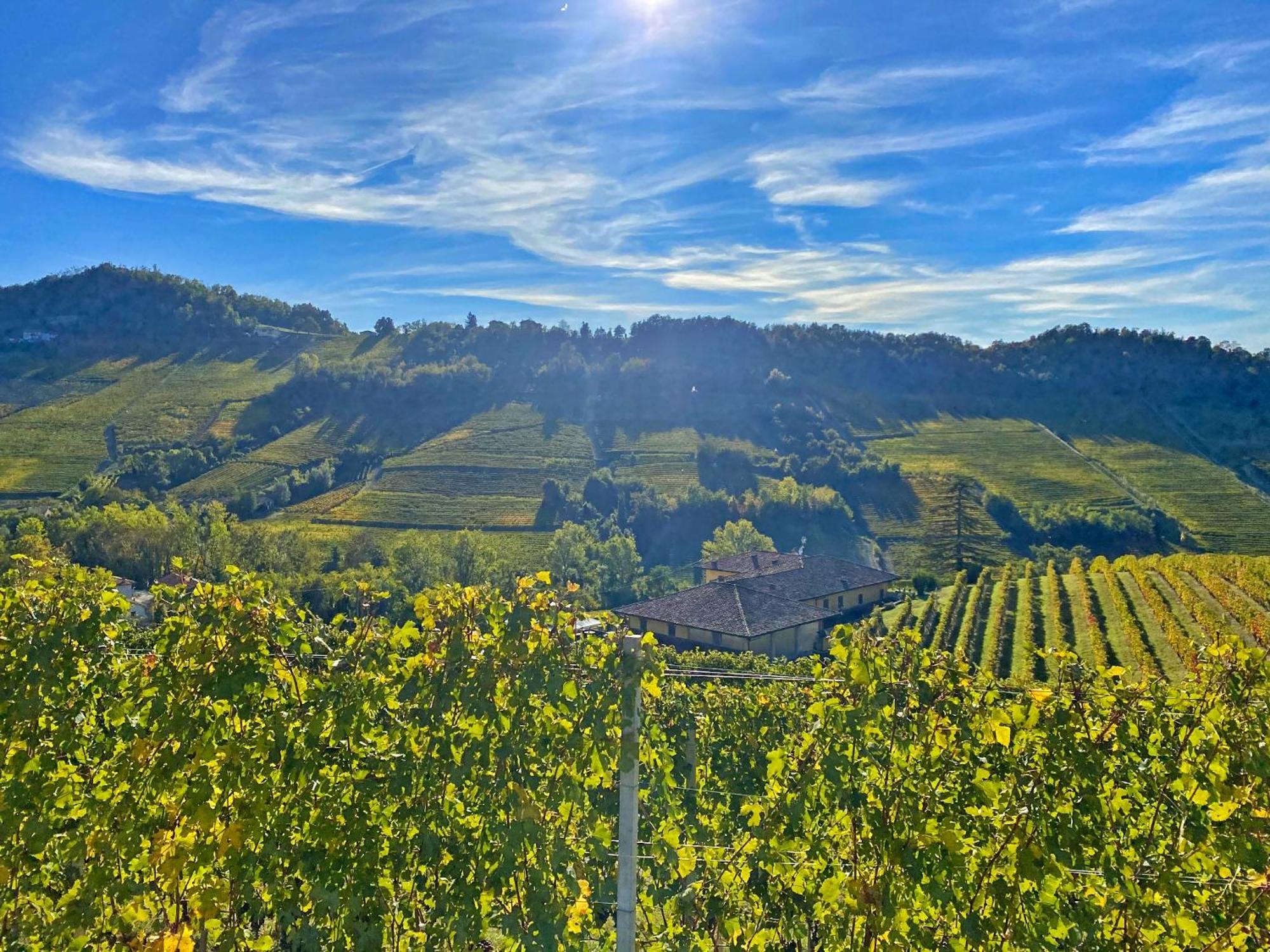 Villa Just Langhe Casa Barolo Novello Exterior foto